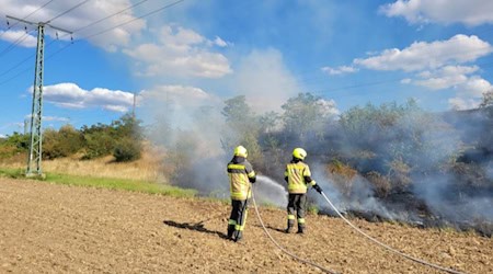 Bahndammbrand bei Bobersen. Foto: Feuerwehr Zeithain