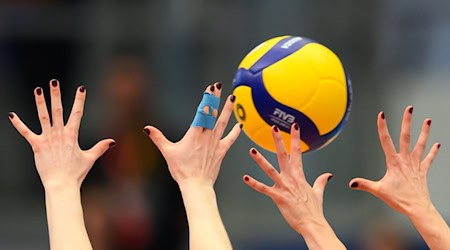 Волейбольна команда Дрездена орендує японського нападника Міку Акімото / Фото: Robert Michael/dpa