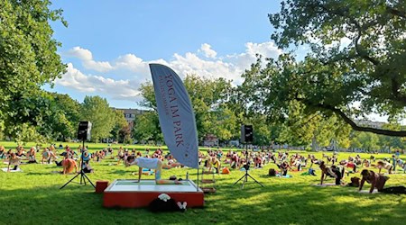 Alaunpark entwickelt sich zum Yoga-Mekka Dresdens