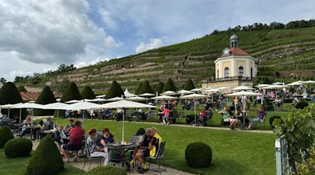 Schloss Wackerbarth in Radebeul. Foto: Ulf Mallek