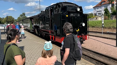 Der Lößnitzdackel kurz vor der Abfahrt in Moritzburg. Foto: Ulf Mallek