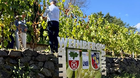 Das ist der Radebeuler Weinberg mitten in St. Ingbert. 1. Foto im Text:  Jürgen Bost mit der Radebeuler Gruppe in seinem Element. 2. Foto im text: Der Brunnen von Malgorzata Chodakowska. Fotos: Ulf Mallek