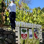 Das ist der Radebeuler Weinberg mitten in St. Ingbert. 1. Foto im Text:  Jürgen Bost mit der Radebeuler Gruppe in seinem Element. 2. Foto im text: Der Brunnen von Malgorzata Chodakowska. Fotos: Ulf Mallek