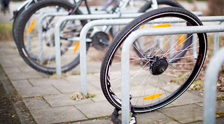 Nirgendwo in Sachsen werden mehr Pedelecs und E-Bikes gestohlen als in Leipzig und Dresden. (Archiv-Symbolfoto) / Foto: Martin Gerten/dpa