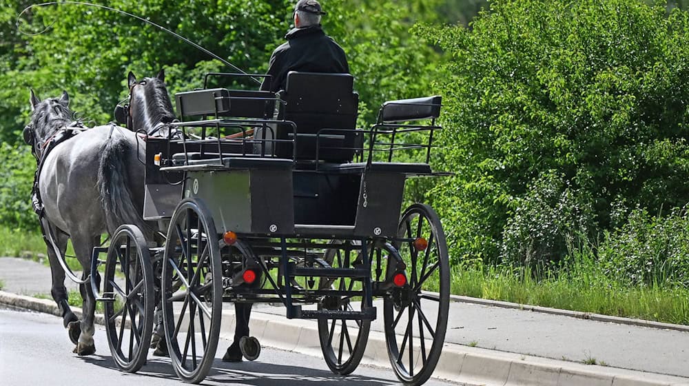 Das Gespann kam von der Fahrbahn ab. (Archivbild/Illustration). / Foto: Bernd Weißbrod/dpa