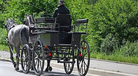 Das Gespann kam von der Fahrbahn ab. (Archivbild/Illustration). / Foto: Bernd Weißbrod/dpa