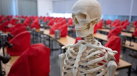 Saxony is in the middle of the field when it comes to medical training. (Archive image) / Photo: Sebastian Gollnow/dpa