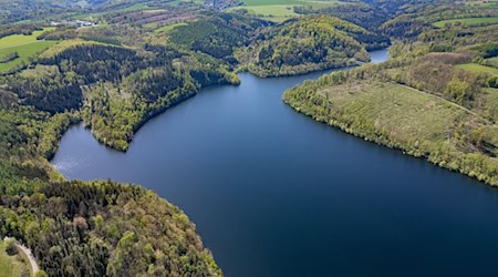Водосховища Саксонії наразі заповнені в середньому на 88 відсотків. (Архівне зображення) / Фото: Robert Michael/dpa