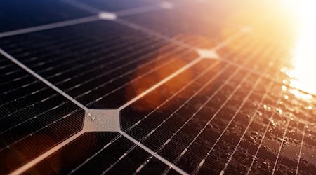 Moderne Solarmodule steigern Effizienz und Unabhängigkeit vom Stromnetz. / Foto: Bruno auf pixabay.com