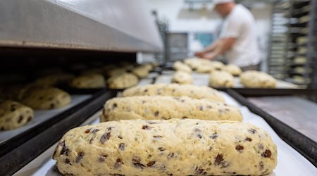 Los preparativos deben hacerse ahora para poder comer Stollen en invierno. (Imagen de archivo) / Foto: Hendrik Schmidt/dpa