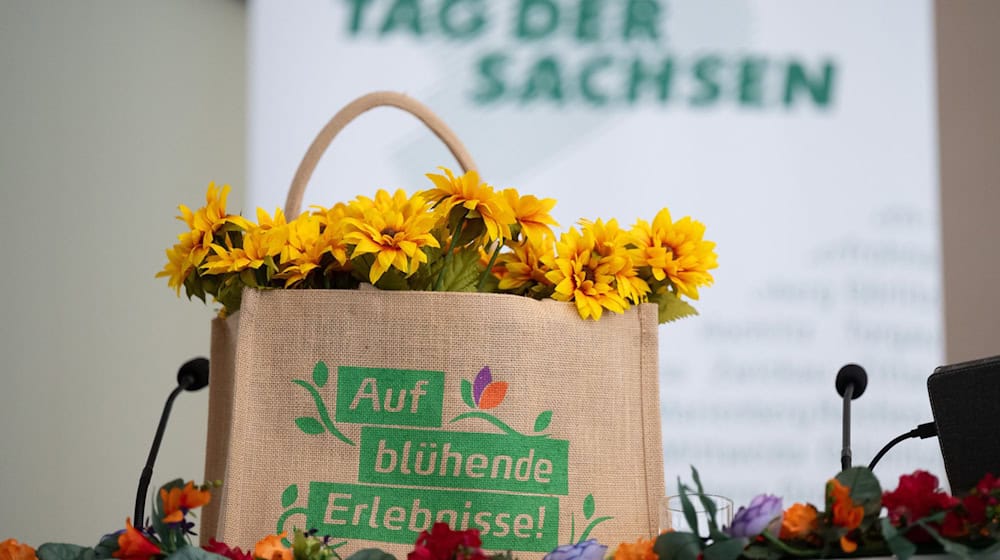 Sebnitz und Dolní Poustevna bereiten sich auf den ersten grenzüberschreitenden «Tag der Sachsen» vor. / Foto: Sebastian Kahnert/dpa