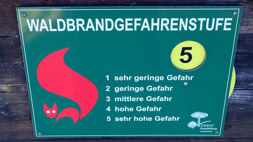 Die Waldbrandgefahrenstufe 5 ist die höchste Gefahrenstufe. (Archivbild) / Foto: Patrick Pleul/dpa
