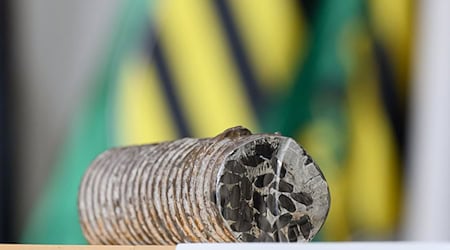 Подальші дослідження будуть проведені на залізничному мосту в Бад-Шандау. На мосту встановлена попередньо напружена сталь Hennigsdorf. (Зображення з архіву Symbol) / Фото: Robert Michael/dpa