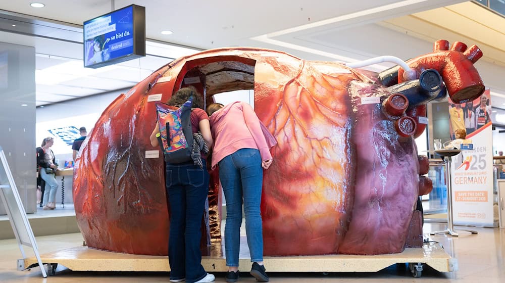 The World Transplant Games are being held in Germany for the first time - and Dresden is the host / Photo: Sebastian Kahnert/dpa