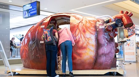 The World Transplant Games are being held in Germany for the first time - and Dresden is the host / Photo: Sebastian Kahnert/dpa
