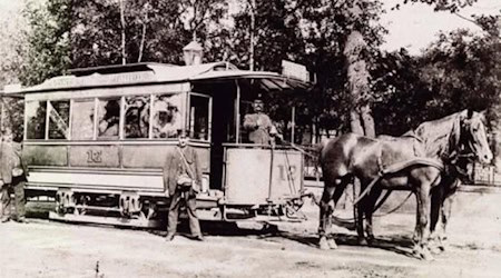 Auf den Spuren der Nutztiere