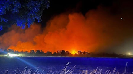 Großfeuer im Juli in der Gohrischheide. Foto: Feuerwehr