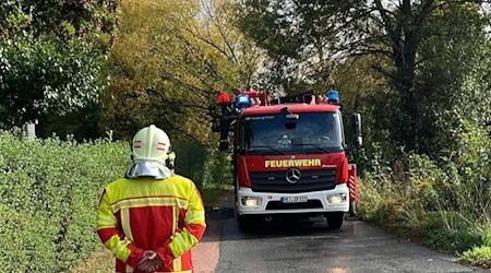 Der Baum muss weg. Foto: Feuerwehr Moritzburg