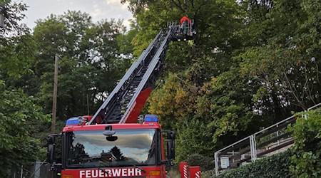 Einsatz mit Drehleiter. Foto: Feuerwehr Zehren Einsatz mit Drehleiter. Foto: Feuerwehr Zehren