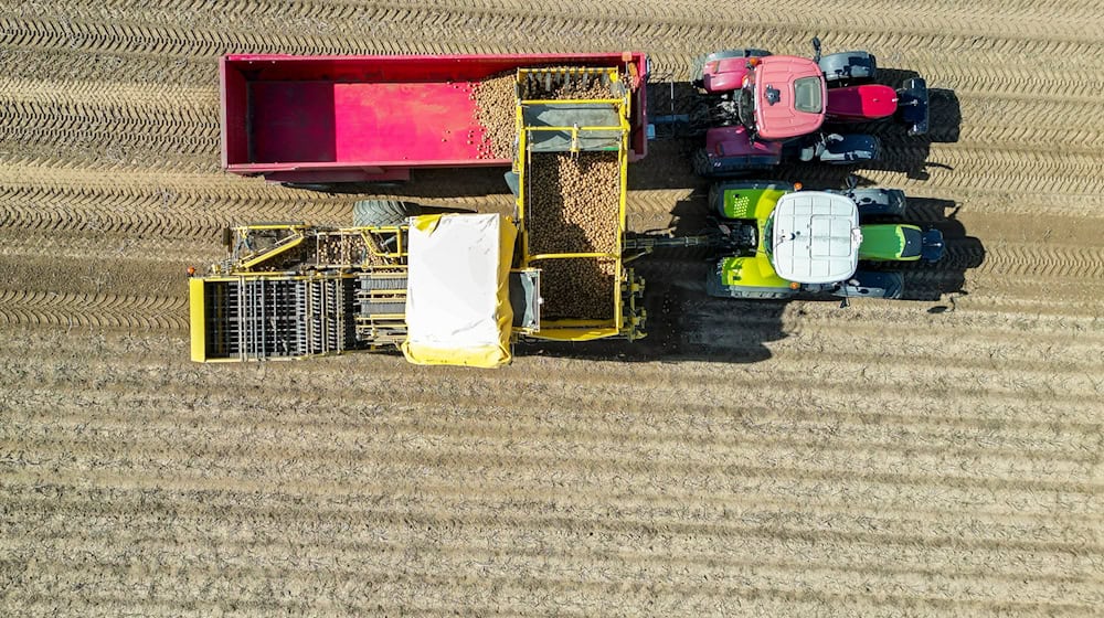 The potato harvesting machines will still be in use well into October.  / Photo: Jan Woitas/dpa