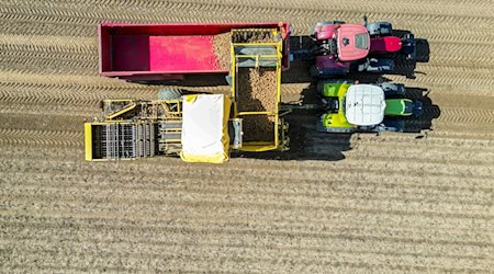 The potato harvesting machines will still be in use well into October.  / Photo: Jan Woitas/dpa