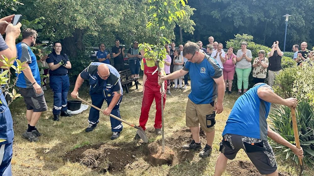 Sachsen ist im Pflanzfieber: Bei der aktuellen Baumpflanzchallenge greifen Feuerwehren, Vereine und Bürgermeister vielerorts zum Spaten.  / Foto: Danilo Dittrich/dpa