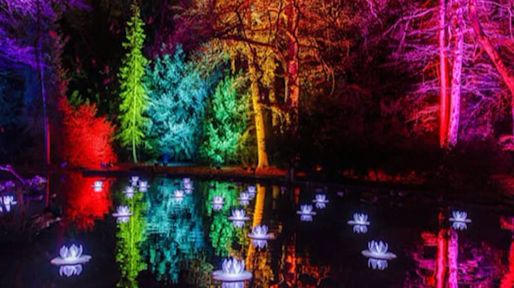 Christmas-Garden-Stimmung. Foto: Schlösserland Sachsen