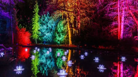 Christmas-Garden-Stimmung. Foto: Schlösserland Sachsen