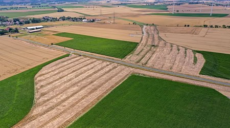 Auch beim Bau der B169 zwischen Riesa und Salbitz drohen Verzögerungen. (Archivbild) / Foto: Jan Woitas/dpa
