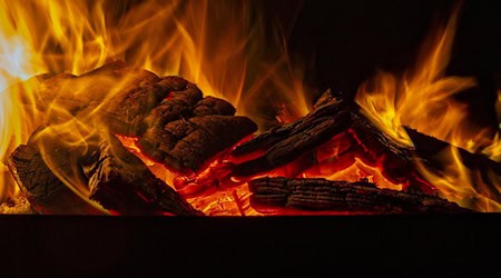 Symbolbild Mülltonne in Flammen / pixabay eluxirphoto