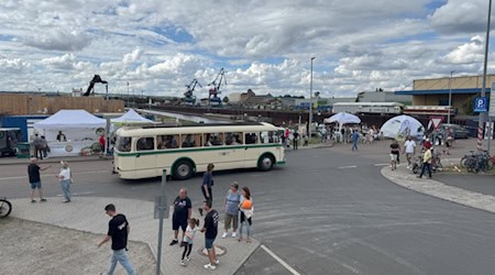 Hafenrundfahrten im Ifa-Bus. Foto: SBO