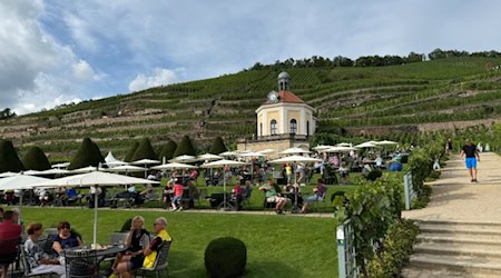 Staasweingut Schloss Wackerbarth in Radebeul. Foto: Ulf Mallek