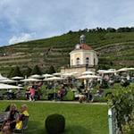 Staasweingut Schloss Wackerbarth in Radebeul. Foto: Ulf Mallek