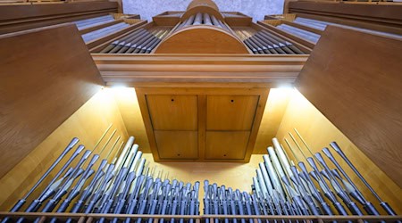 Die imposante Orgel in der Dresdner Kreuzkirche soll modernisiert werden.  / Foto: Robert Michael/dpa