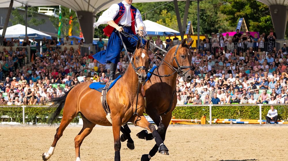 El tradicional desfile de sementales se inauguró el sábado en Moritzburg.  / Foto: Jürgen Lösel/dpa