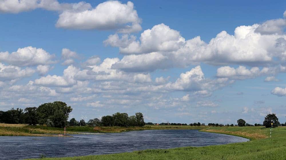 Der Hochwasserschutz für die Elbe in Nordsachsen soll durch die Maßnahmen verbessert werden. (Archivbild) / Foto: picture alliance / dpa