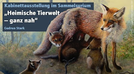 Kabinettausstellung "Heimische Tierwelt – ganz nah“ von Gudrun Stark