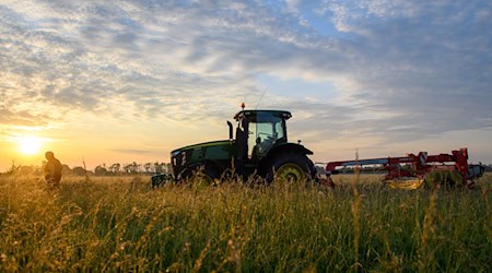According to the Ministry of Agriculture, the organically farmed area has more than doubled to almost 90,000 hectares between 2015 and the end of 2024. (Archive image) / Photo: Klaus-Dietmar Gabbert/dpa/dpa-tmn