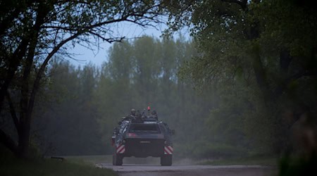Das Panzerpionierbataillon aus Gera nutzt den Zeitzer Forst im Süden Sachsen-Anhalts für Übungen. (Archivbild) / Foto: picture alliance / Klaus-Dietmar Gabbert/dpa-Zentralbild/ZB
