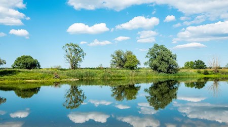 Symbolbild Elbe / pixabay MandrillArt