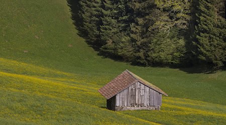 Symbolbild Schuppen / pixabay adege