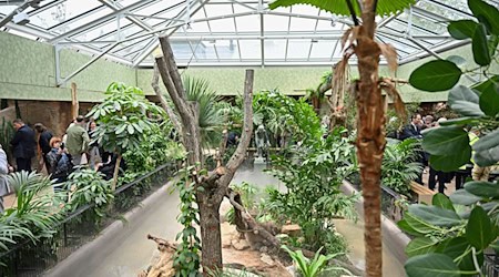After extensive refurbishment, the terrarium at Leipzig Zoo reopens to visitors / Photo: Jennifer Brückner/dpa