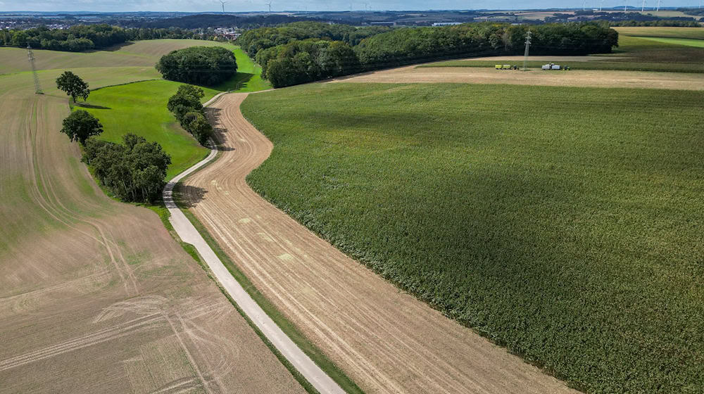 Die Sonne zeigte sich nach einer vorläufigen Auswertung des Deutschen Wetterdienstes 177 Stunden. (Archivbild) / Foto: Jan Woitas/dpa
