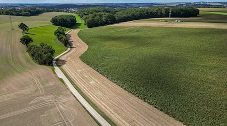 Die Sonne zeigte sich nach einer vorläufigen Auswertung des Deutschen Wetterdienstes 177 Stunden. (Archivbild) / Foto: Jan Woitas/dpa
