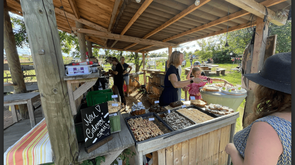 Streuobstwiesen-Familientag in Nossen. Foto: Streuobstkelterei Gohla