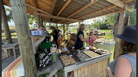 Streuobstwiesen-Familientag in Nossen. Foto: Streuobstkelterei Gohla