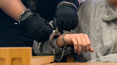 Das Urteil zum Bartaffen-Diebstahl ist rechtskräftig. (Archivbild) / Foto: Hendrik Schmidt/dpa