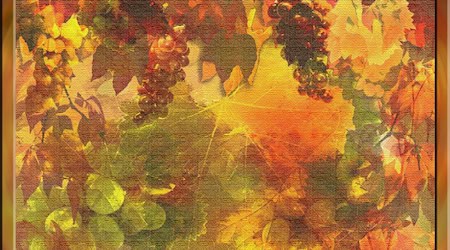 Symbolbild Weinfeste / pixabay steinchen