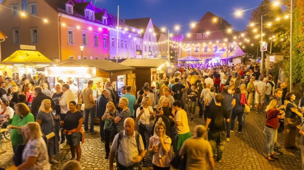 Das Radebeuler Weinfest auf dem Anger. Foto im Text: Bei der Eröffnung v.l.n.r. OB Bert Wendsche, Landrat Ralf Hänsel, MdL Dr. Sven Eppinger, Bacchus, Weinbauverbandschef Felix Hößelbarth. Fotos: Sylvio Dittrich@Stadtverwaltung Radebeul
