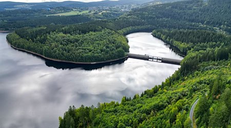 Vor allem im Erzgebirge gibt es viel Wald, so wie hier an der Talsperre Eibenstock. / Foto: Hendrik Schmidt/dpa